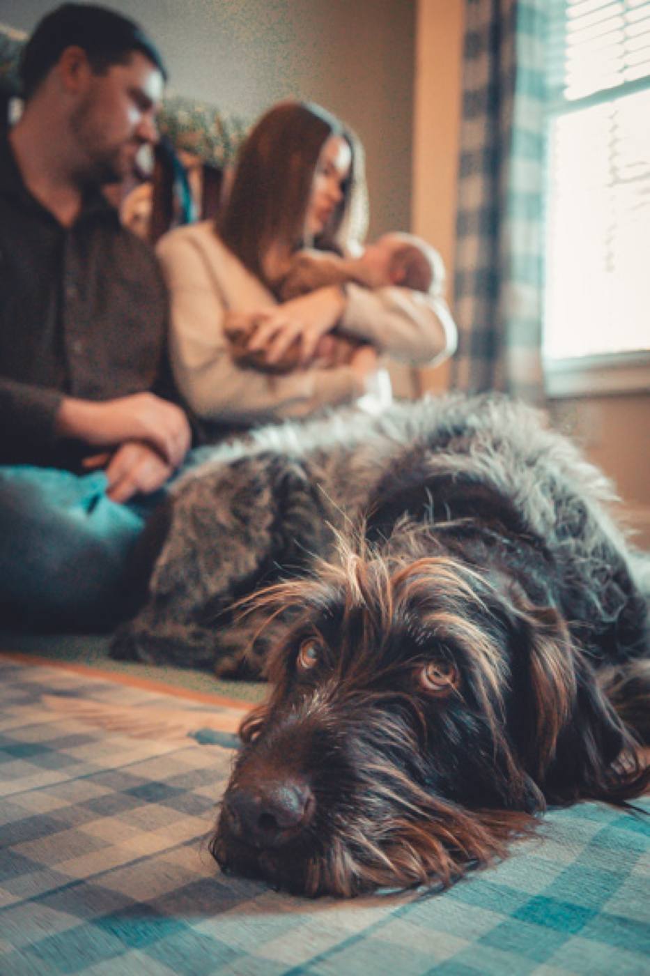 Parents holding their newborn while the family dog rests